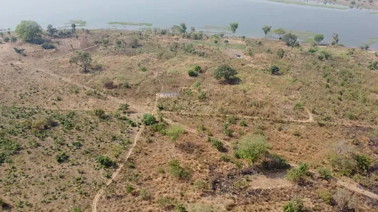 Dream Village Dambai in 2023 — the early days of the new site